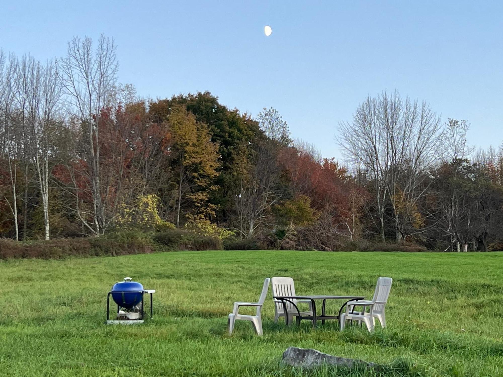 Idea Farm Hotel Callicoon Center Buitenkant foto
