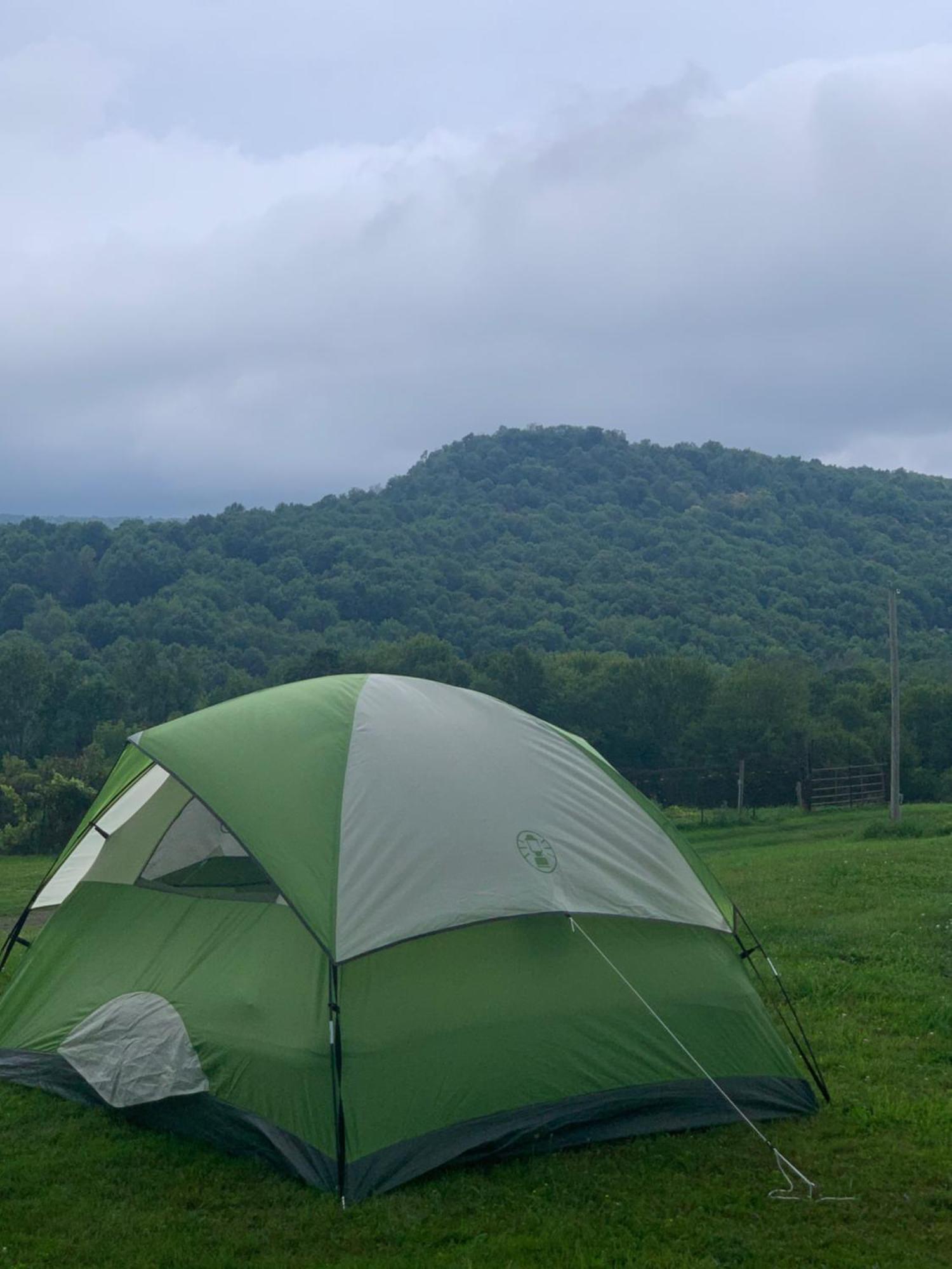 Idea Farm Hotel Callicoon Center Buitenkant foto